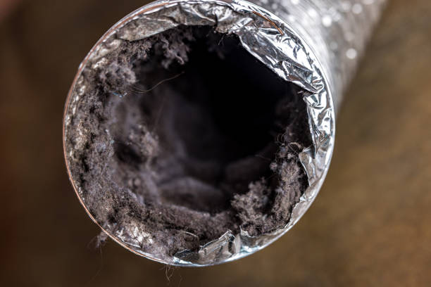 Best Home Air Vent Cleaning  in San Jacinto, CA